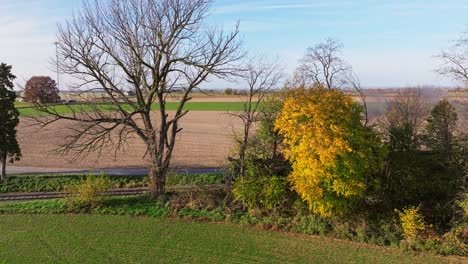 an aerial parallel view of a steam train traveling behind trees as it travels thru farmlands on a sunny fall day