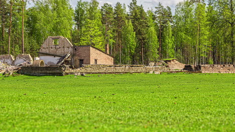 Grüner-Lebendiger-Wald-Und-Rentierfarm,-Fusionszeitrafferansicht