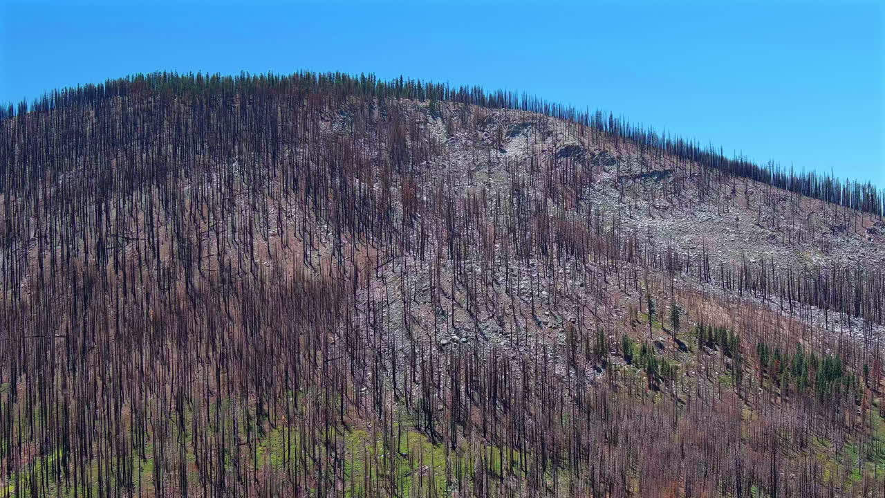el paisaje montañoso se está recuperando lentamente después de los devastadores incendios forestales,