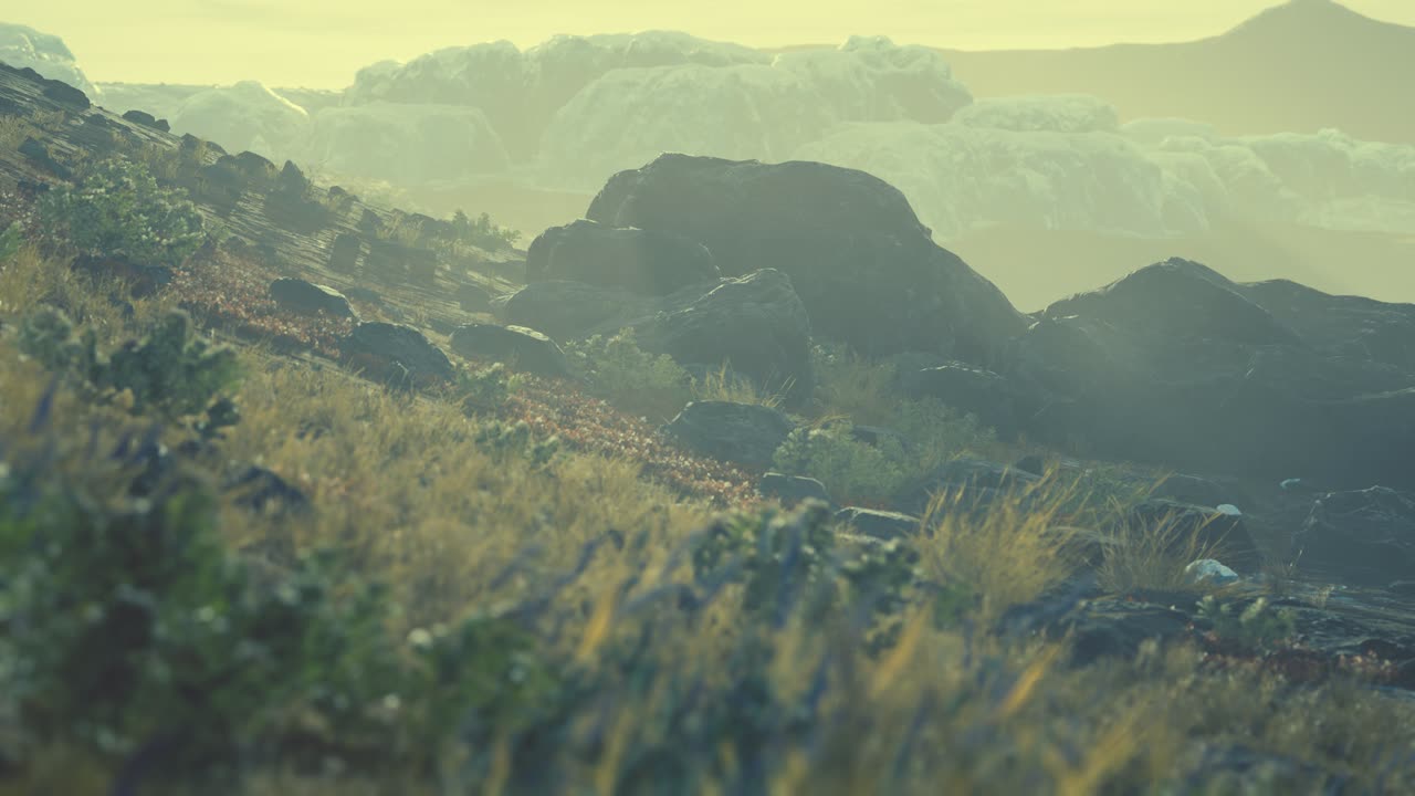 icebergs antárticos cerca de la playa rocosa