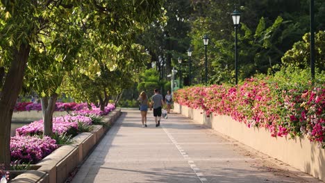 personas caminando por un camino con flores en flor