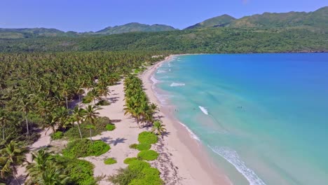 vuelo cinematográfico sobre la hermosa playa de arena de rincón con el mar azul del caribe y la plantación de palmeras