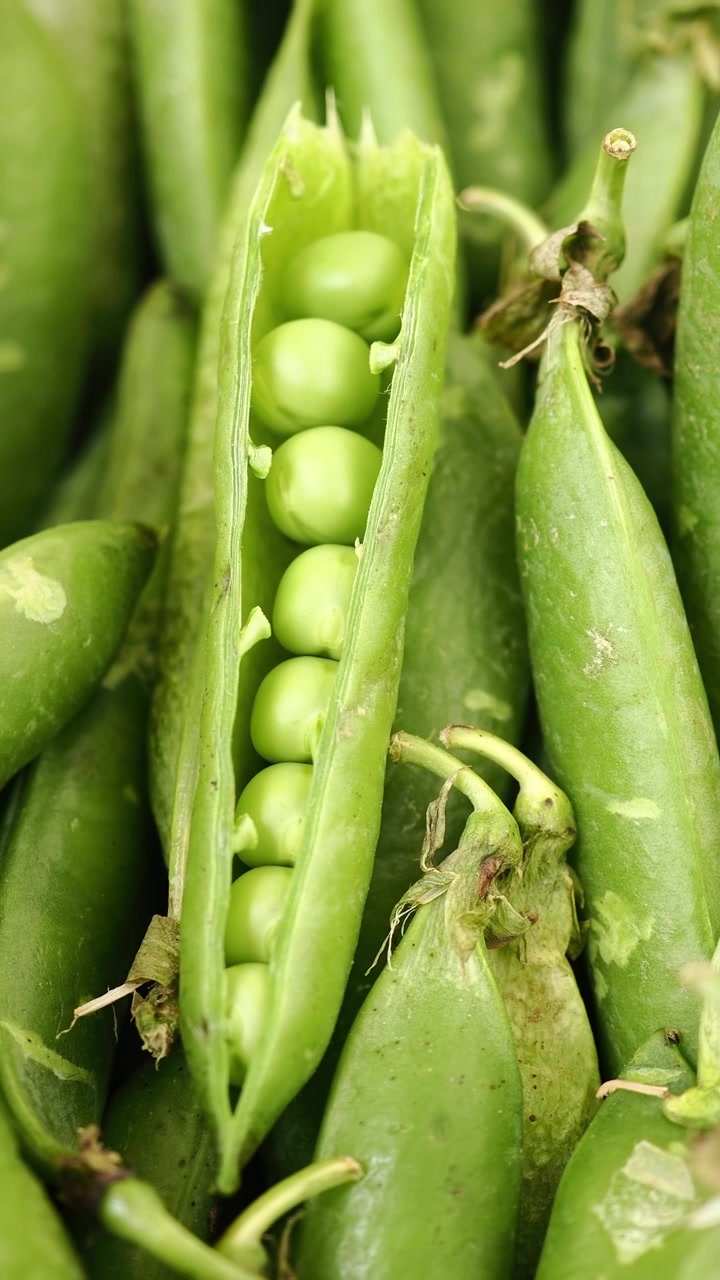 Fresh Green Peas in Pods
