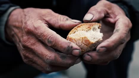 a close-up view of weathered hands holding a piece of bread, symbolizing survival and resilience in the face of adversity