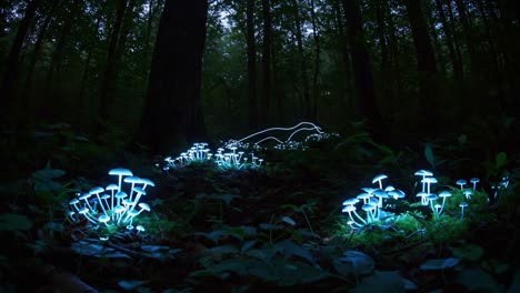 enchanted forest nightscape: glowing mushrooms illuminate the dark woods, creating a magical and ethereal atmosphere in a serene woodland setting