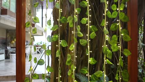 beautifully decoration with money plant in front of restaurent closeup view