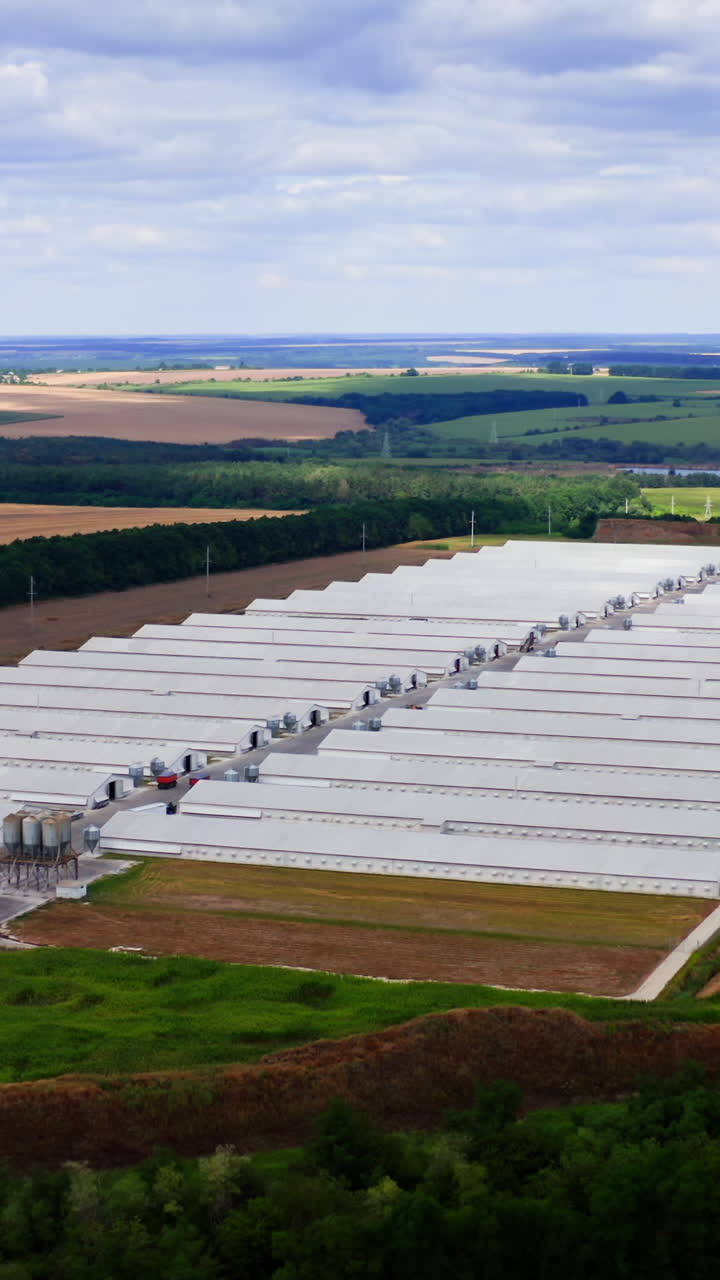 Modern farm poultry buildings. Newly built farm in green field. White roofs of long structures. Aerial view. Vertical video