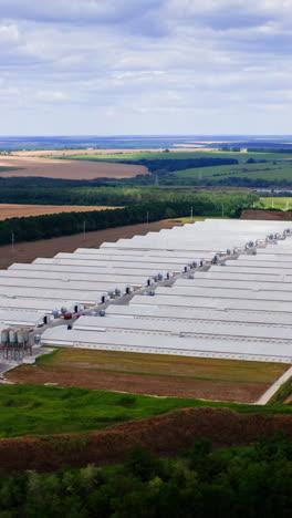 modern farm poultry buildings. newly built farm in green field. white roofs of long structures. aerial view. vertical video