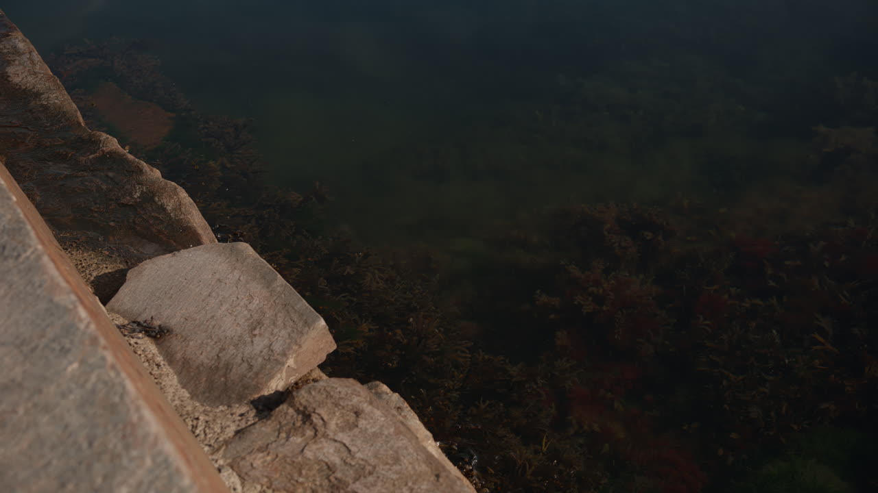 Water flowing calmly and the sea weed is lying still against the rocks on a sunny day