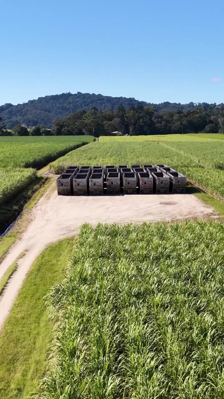 Drone footage captures expansive sugarcane fields and storage bins under clear blue skies with distant hills