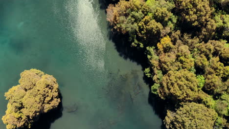 DRONE:-LAGOON-IN-MEXICO