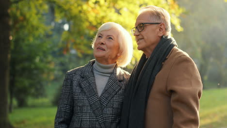 elderly couple standing at sunset in the park during a walk