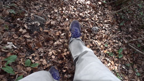 slow motion: a young person kicks the leaves which begin to twirl, autumn in a forest