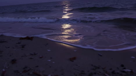 moonlit beach at night