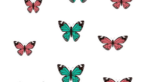 beautiful butterflies flying pattern animated