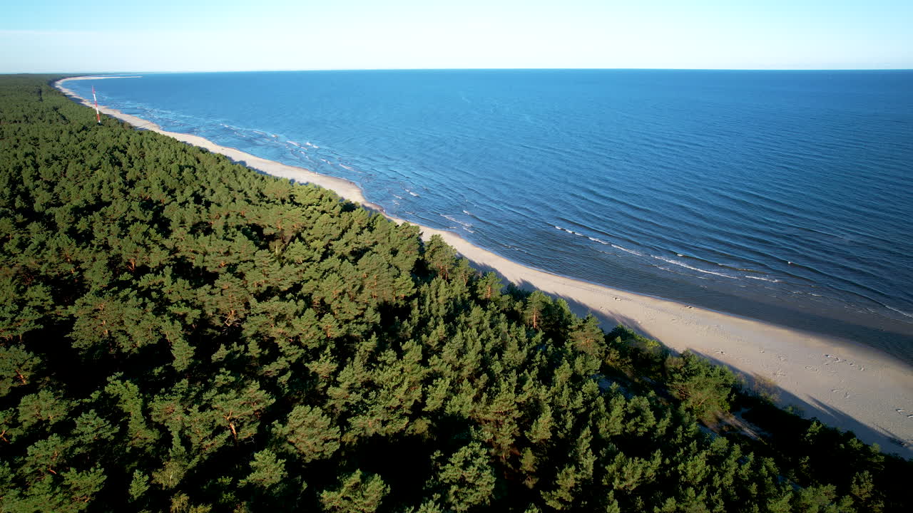 Krynica Morska Forest And Beach Coastline On The