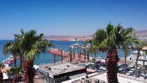 panoramic view of eilat marina in israel with boats and palm trees