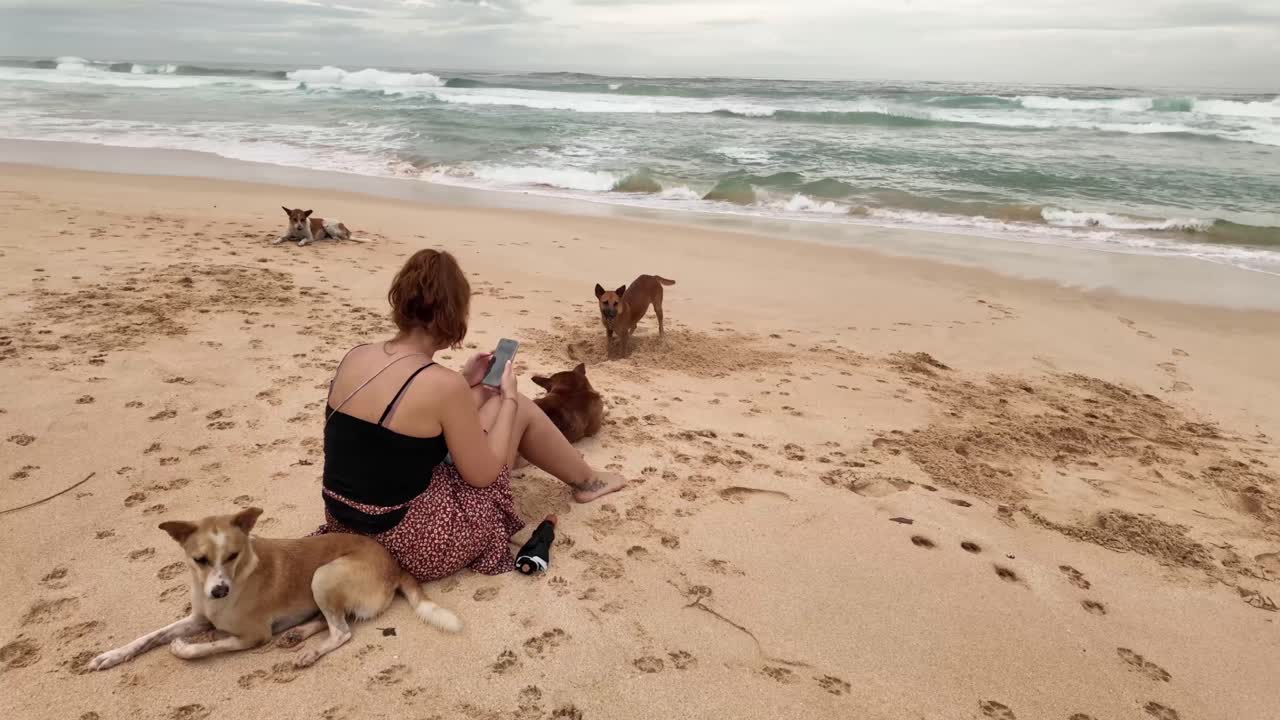 Woman relaxing on tropical beach with stray dogs Sri Lanka South Asia hot climate paradise