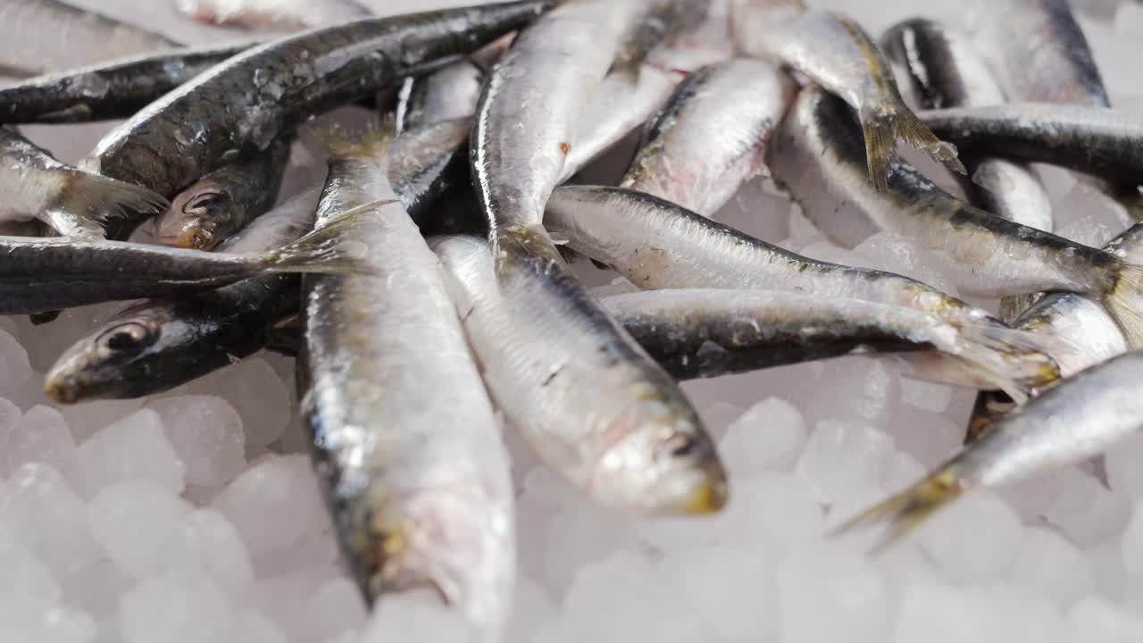 anchoas frescas en hielo