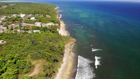 litoral de porto rico, praia, areia e árvores