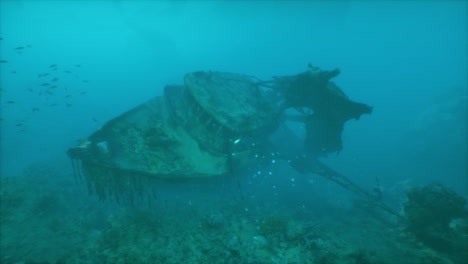 shipwreck in a coral reef