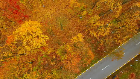 Sky-view-autumn-landscape-in-city-park.-City-road-and-industrial-buildings