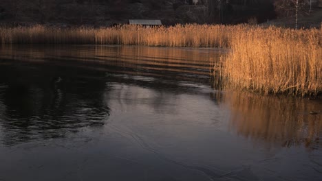 Schwedischer-Ruhiger-See-Mit-Sonnenuntergang