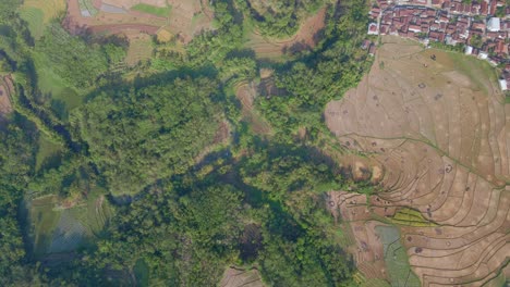 Flug-über-Tropische-Landschaften-Mit-Plantagen-Und-Siedlungen-In-Der-Trockenzeit