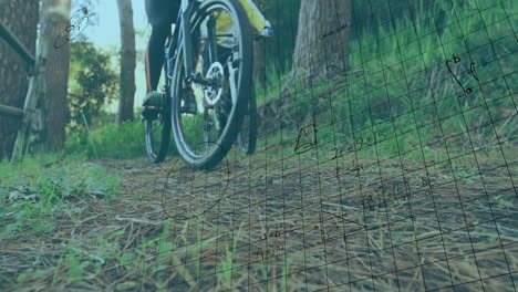 mountain bike cyclists riding forest trail, showing grid overlay teaching geometry for education