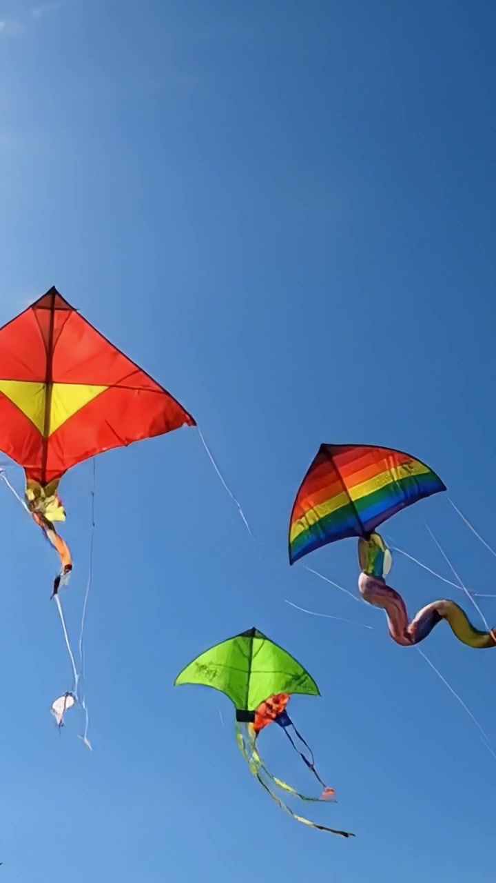 Un colorato assortimento di aquiloni che danzano nel cielo: uno spettacolo mozzafiato di design e forme vivaci esposti su uno sfondo blu chiaro