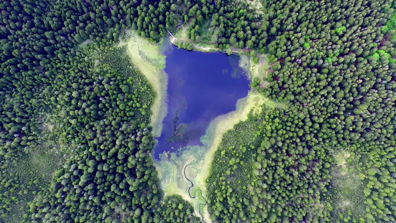 aerial twirl of Black Lake, Pohorje mountain range, marshes and green forest