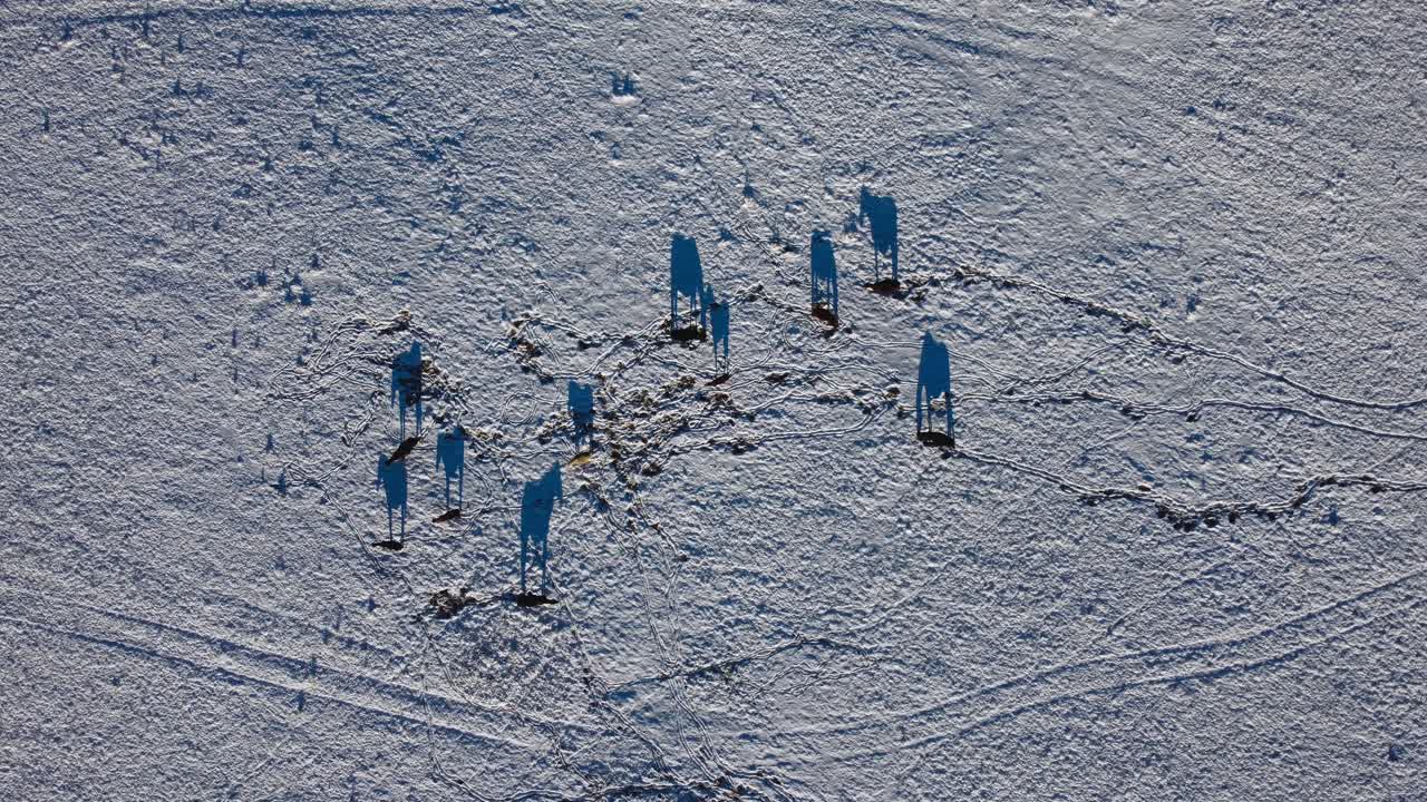 정적 폭 위에서 눈이 내리는 말