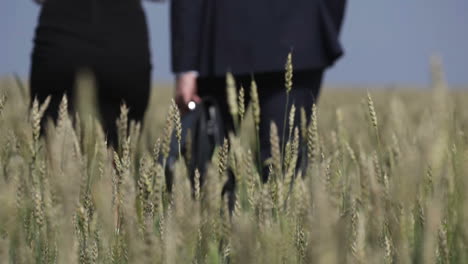 close up view of a wheat field, in the background a woman and a businessman walk away