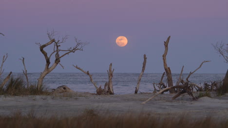 full moon rising over the ocean at sunset