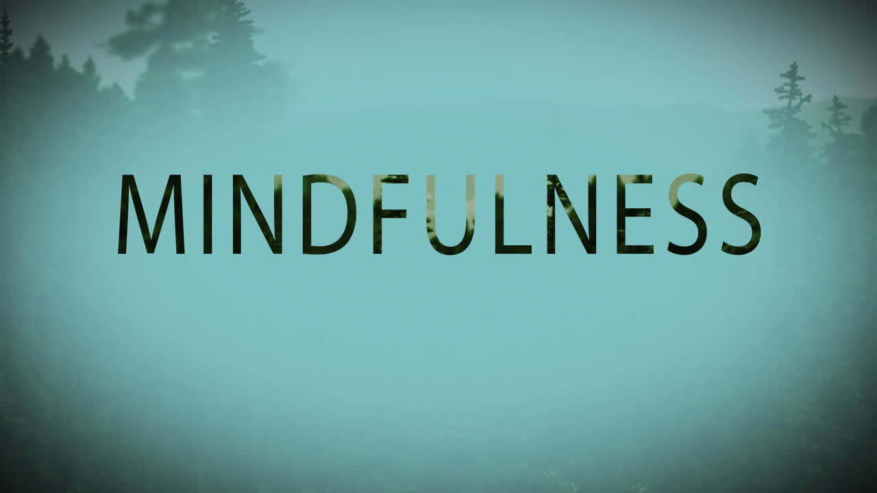 마음 ⁇ 김에 대한 디지털 복합 비디오