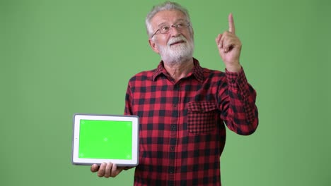 handsome senior bearded man against green background