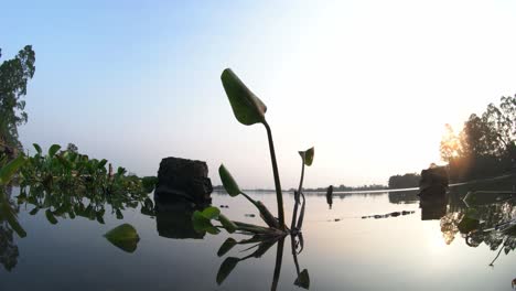 水<unk>在藍天背景的湖中