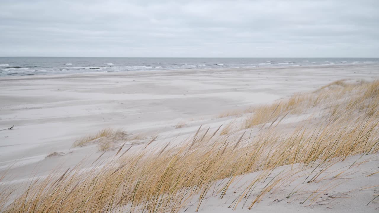 Windy day at empty beach