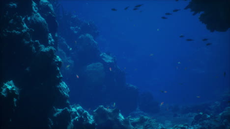 un arrecife de coral colorido con una variedad de peces nadando alrededor.