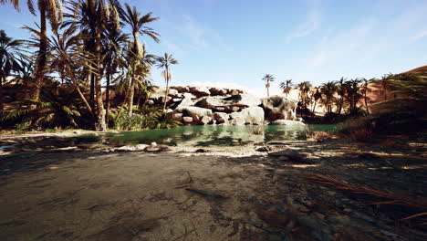 un oasis en el desierto de omán