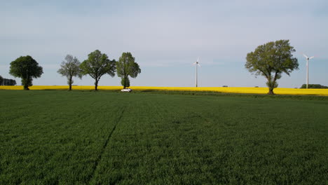 Picturesque-countryside-with-scenic-roads-flanked-by-lush-agriculture-farms