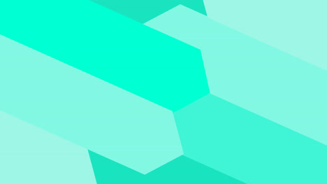 full transitions 30