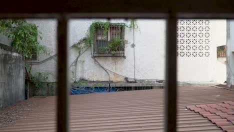 old window with grill and climbing plants