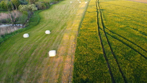 drone skims over a bavarian field, showcasing cut hay bales