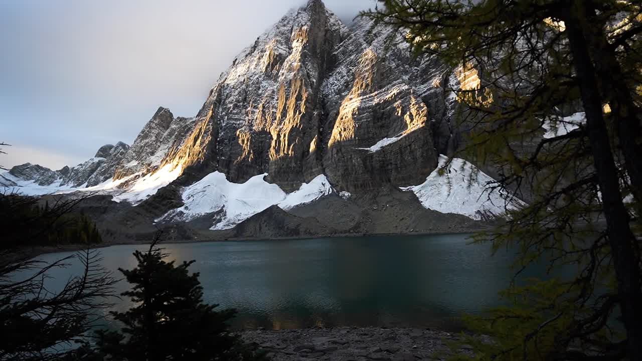 cámara panorámica a través de los árboles que revelan el paisaje frío que rodea el lago floe