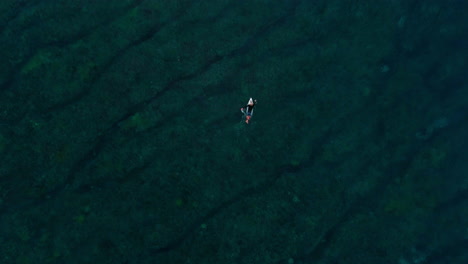 drone de arriba hacia abajo se eleva por encima del surfista remando por encima del arrecife
