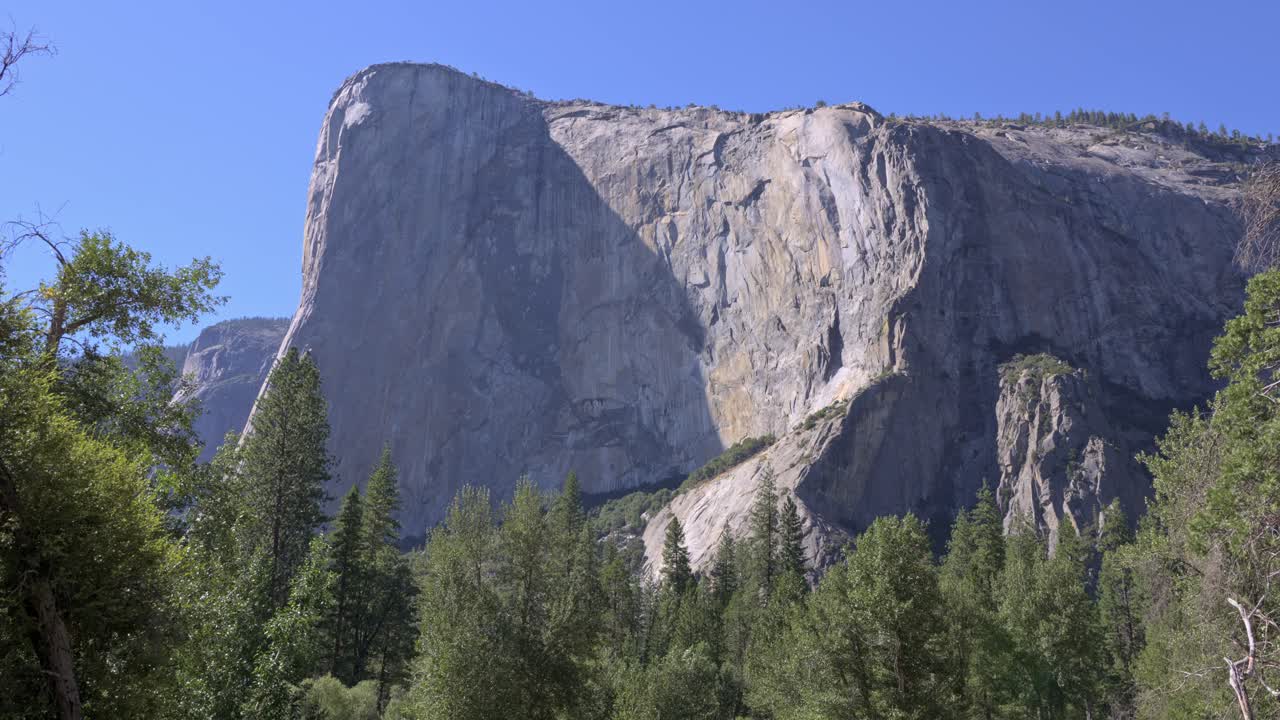 4K shot showcases El Capitan’s sheer granite face soaring above a dense pine forest in Yosemite National Park. Perfect for travel, nature, geology, or inspirational outdoor projects