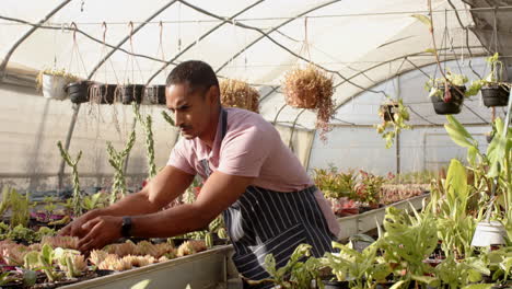 gardener in greenhouse tending to plants, wearing apron, focused on work