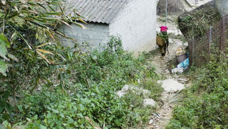 in a vibrant green setting, a female farmer skillfully gathers herbs. the lush vegetation and rustic surroundings highlight traditional foraging practices in a serene, rural environment.