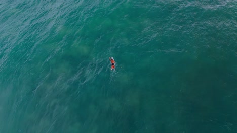 a peaceful and cinematic shot of a surfer paddling out into the ocean during sunset in weligama, sri lanka.